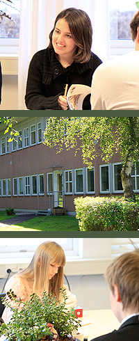 Mimers gymnasium